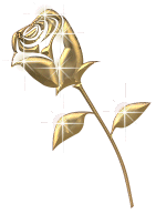 c'est pour toi mon amour